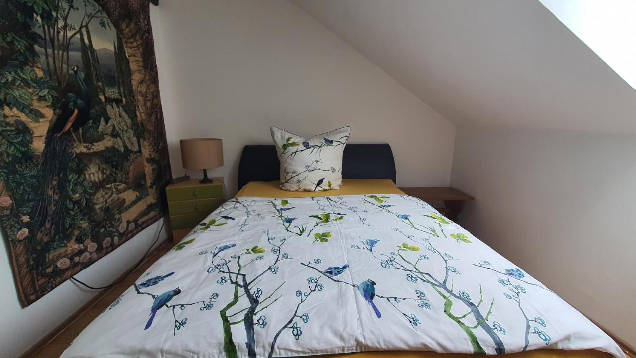 Ferienwohnung Berg View Bad Kissingen Apartment Mit 3 Schlafzimmern Buitenkant foto